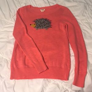 Pink Sweater (Hedgehog or Porcupine?)